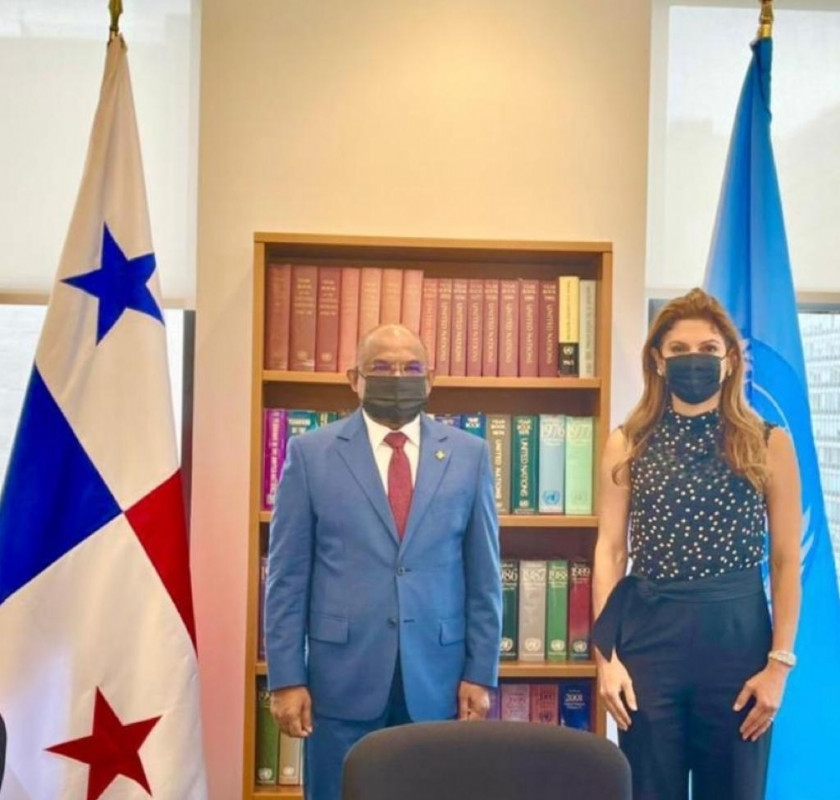 ފޮރިން މިނިސްޓަރ އަބްދުﷲ ޝާހިދު، ޕެނަމާގެ ފޮރިން މިނިސްޓަރާ ބައްދަކުރެވުމުގެ ތެރެއިން