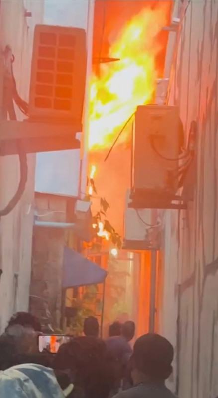 އަލިފާން ރޯވެފައި