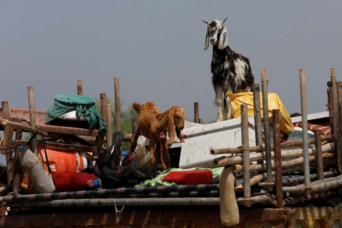 ޕާކިސްތާނުގެ ސެހްވާން ގައި ހުޅަނގު މޫސުމުގެ ވިއްސާރައިގައި ބޯކޮށް ވާރޭވެހި ފެންބޮޑުވުމާ ގުޅިގެން، އެއް އާއިލާއެއްގެ ބަކަރިއާއި ހިފާގެންގުޅޭ ސާމާނު އުސްބިމަކަށް ދަތުރުކުރާ މަންޒަރު ދައްކުވައިދޭ ފޮޓޮއެއް - ފޮޓޯ: ރޮއިޓަރސް