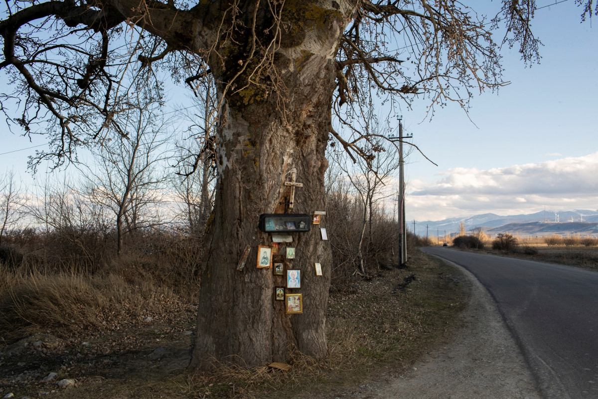 ޖޯޖިއާގެ އަޕަރ ނިކޯޒީ އަވަށަށް ދާ މަގެއް ކައިރީގައި ކާރު އެކްސިޑެންޓްވެ މަރުވި ބައެއްގެ ހަނދާންތައް އާކޮށް ގަހެއްގައި ހަރުކޮށްފައިހުރި ފޮޓޯތަކެއް - ފޮޓޯ: ރޮއިޓަރސް