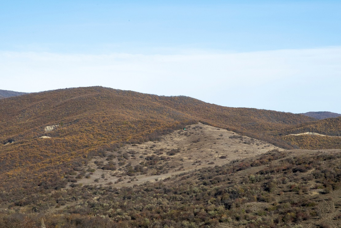 ޖޯޖިއާގެ ބެރްޝުއެޓީ އަވަށުން ނަގާފައިވާ ފޮޓޯއެއް، މި ފޮޓޯއިން ފެންނަނީ ޖޯޖިއާގެ ދެކުނު އޮސެޓިއާ ސަރަހައްދުގެ ޑި ފެކްޓޯ ބޯޑަރުގައި ހުރި ފަރުބަދައެއްގެ މަތީގައި ހުރި ހަޓެއް - ފޮޓޯ: ރޮއިޓަރސް
