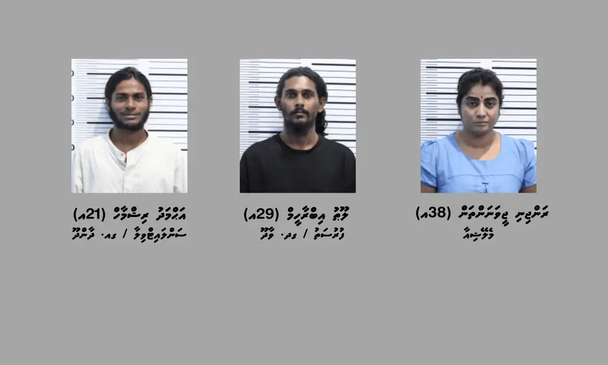 ދެ ކިލޯއަށްވުރެ ގިނަ މަސްތުވާތަކެތި ވައިގެ މަގުން ރާއްޖެއަށް އެތެރެކުރަން އުޅުނު ކަމުގެ ތުހުމަތުގައި ހައްޔަރުކުރި ތިން މީހުން.