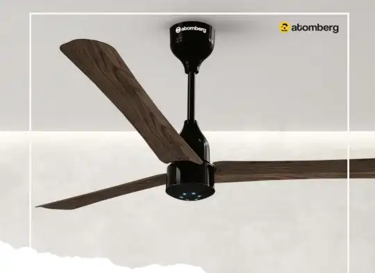 ބްރެއިން ކޮރަލް އިން ޒަމާނީ ޓެކްނޮލޮޖީގެ، މަޝްހޫރު އެޓަމްބަރގް ބްރޭންޑް ގެ ފަންކާ ތައާރަފު ކޮށްފި