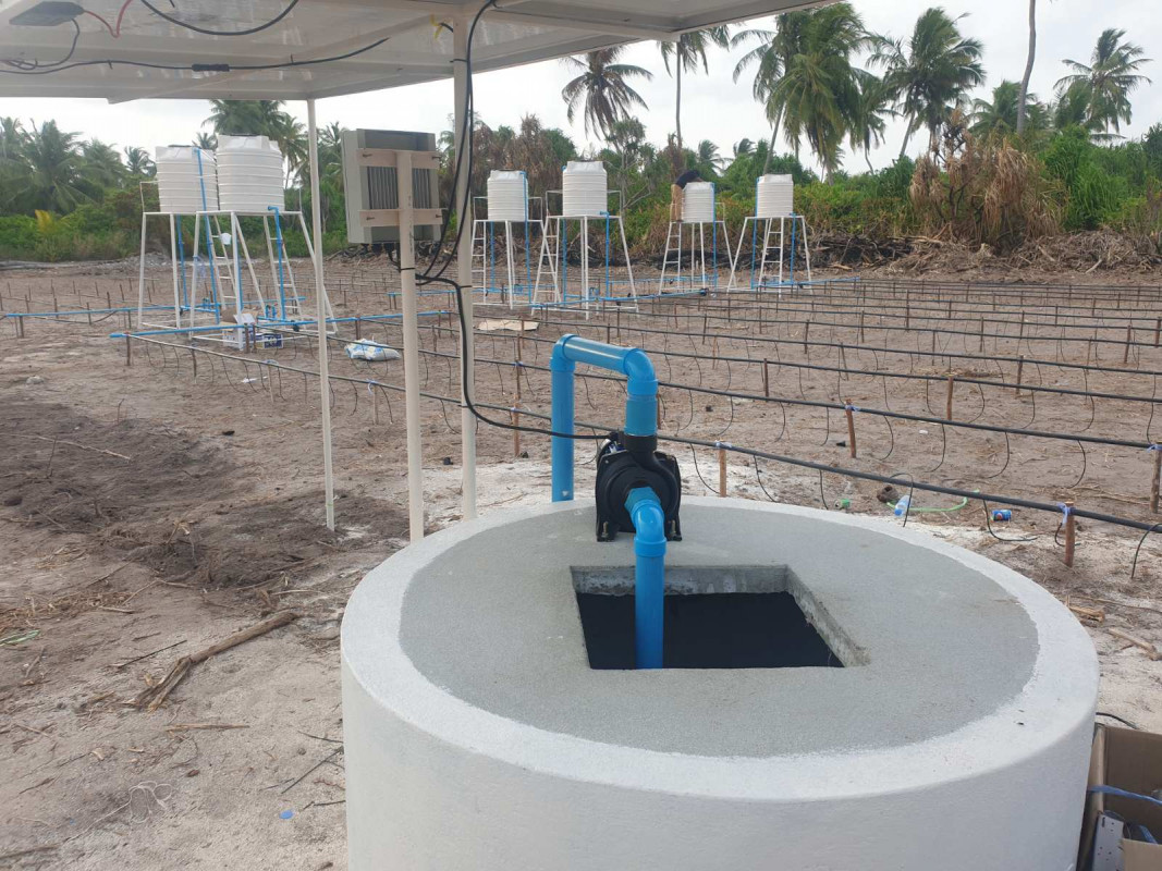 އިރިގޭޝަން ޕްރޮގްރާމްގެ ދަށުން ހައްދާ ދަނޑެއް