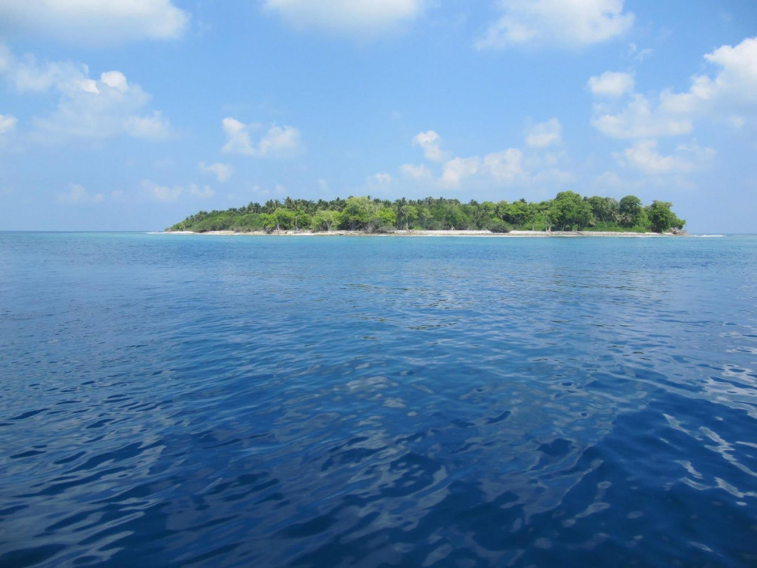 ބ. އޮޅުގިރި - އޮޅުގިރިން ތަކެތި ހޮވުމަށް ކައުންސިލްގައި ރަޖިސްޓްރީ ކޮށްގެން، ހިތާދޫ އަދި ތުޅާދޫ މީހުން އޮޅުގިރިއަށް ދަތުރުކުރޭ