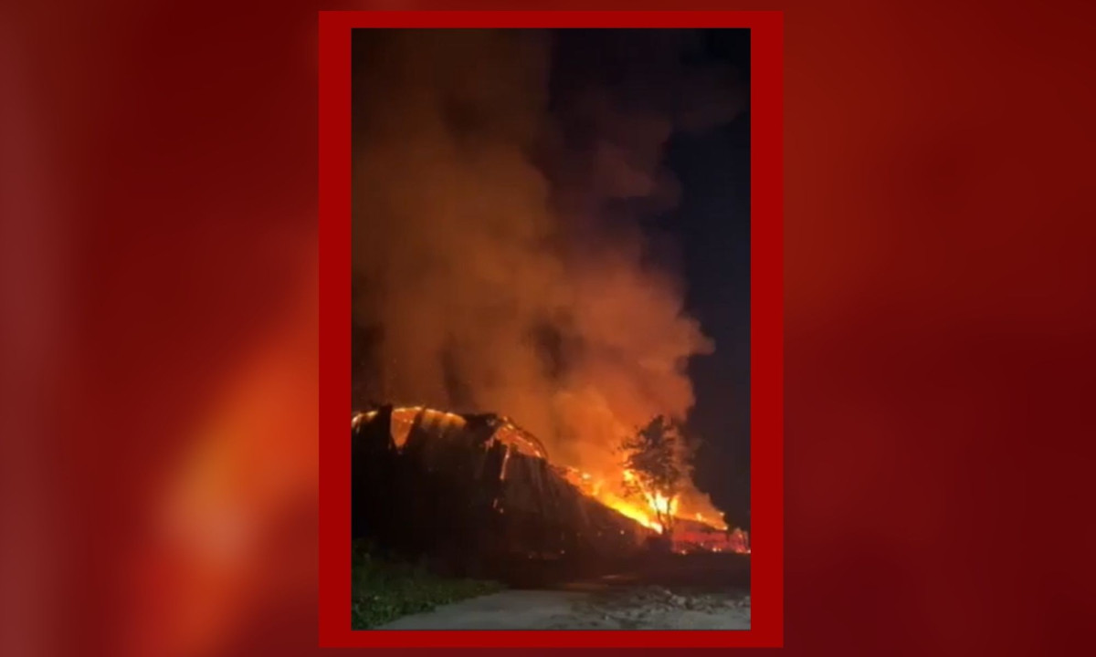 ވިލިނގިލީގެ އޮޑި ހަރުގޭގައި ރޯވުން