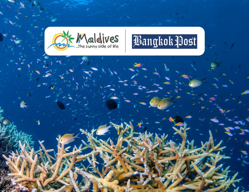 ތައިލެންޑް ބެންކޮކް ޕޯސްޓުގައި ރާއްޖެ އިޝްތިހާރުކުރުން