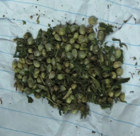 އަތުލައިގަނެފައިވާ މަސްތުވާތަކެތި