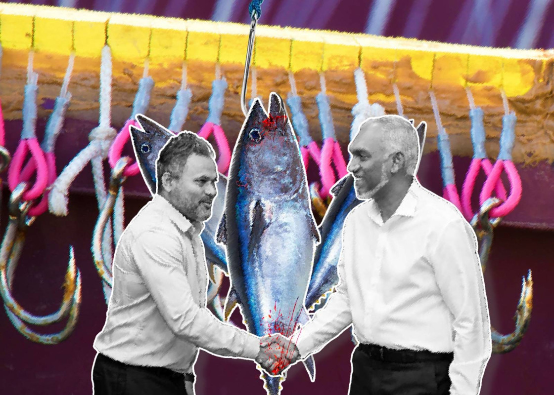 ލޭނުމަސްވެރިކަމުން ކުންފުނިތަކުން ނަގާ އެއްޗެއްގެ ވަރަށް ކުޑަ މިންވަރެއް ނޫނީ ގައުމުތަކަކަށް ނުލިބޭ