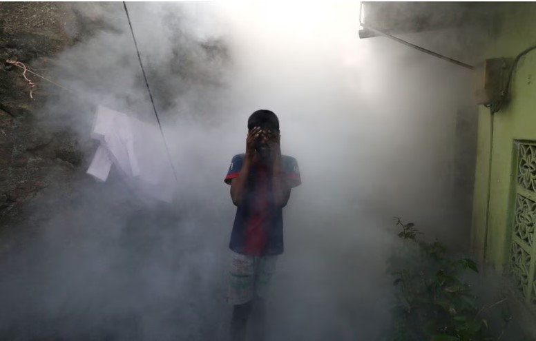 ސްރީލަންކާގައި ފޮގް ކުރަނީ