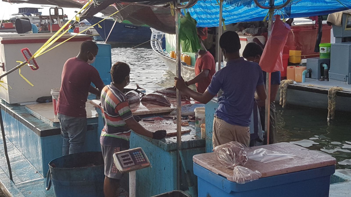 މަސްދޯނިފަހަރު