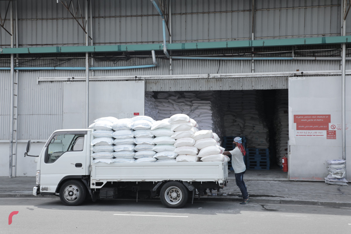 އެސްޓީއޯ ކާޑު ގުދަނުގައި މަސައްކަތްތެރިން ހަރަކާތްތެރިވަނީ - ކޮވިޑާއި ގުޅިގެން، އެސްޓީއޯގެ ހުރިހާ ގުދަނެއް ފުރެންދެން ކާޑުގެ ބާވަތްތައް ގުދަންކޮށްފައިވޭ -- ފޮޓޯ: ރާއްޖެ.އެމްވީ