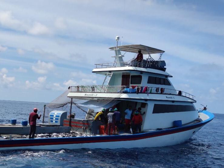 މަސް ދޯންޏެއް