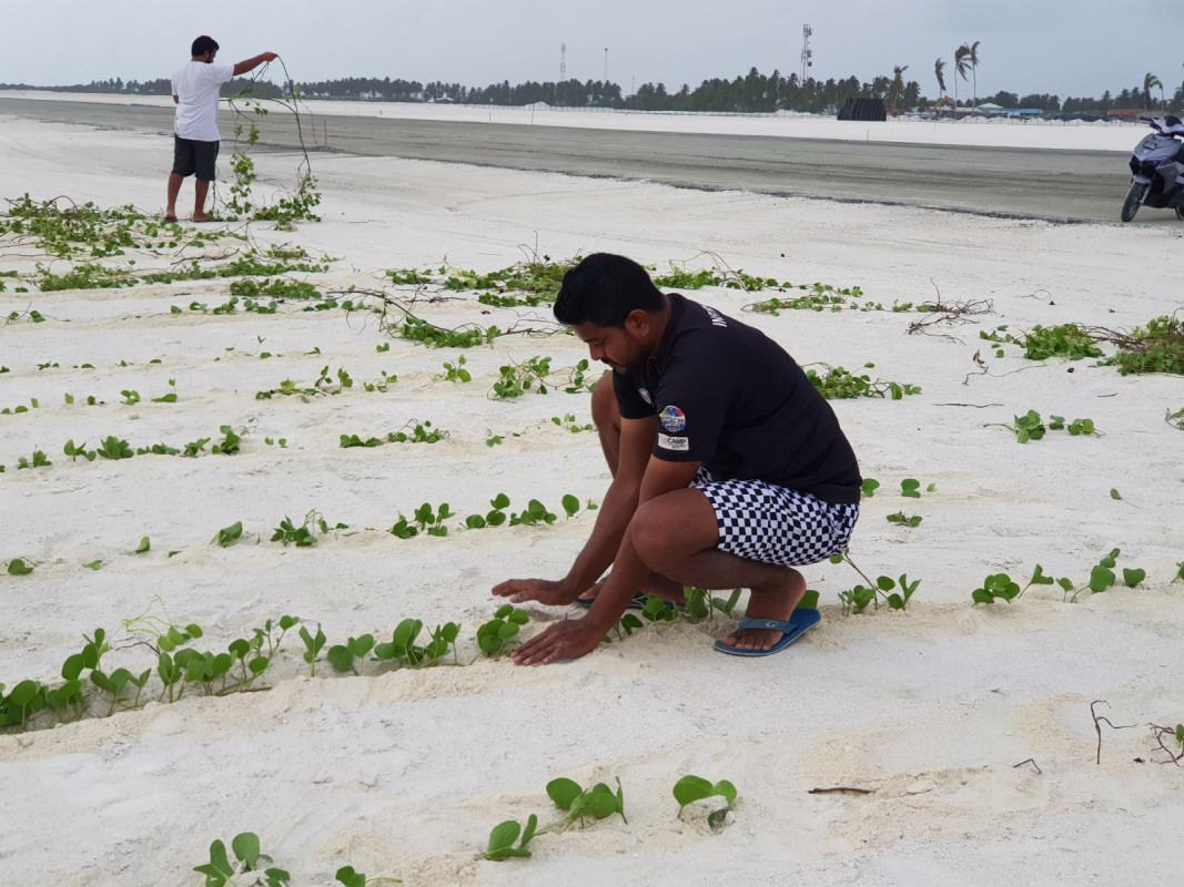 ހޯރަފުށި އެއަރޕޯޓް ފެހިކުރުމުގެ މަސައްކަތުގެ ތެރެއިން - ހޯރަފުށި އެއަރޕޯޓްގެ މަޝްރޫޢު އަކީ 198 މިލިއަން ރުފިޔާ ހަރަދުކޮށްގެން ހިންގާ މަޝްރޫއެއް. އެމްޓީސީސީއާ ހަވާލުކުރެވި އެއްބަސްވުމުގައި ސޮއިކޮށްފައިވަނީ 2019 ވަނަ އަހަރުގެ މާޗް މަހުގެ 25 ގައި -- ފޮޓޯ: ހޯރަފުށި ކައުންސިލް