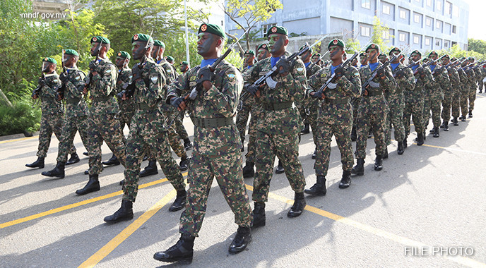 އެމްއެންޑީއެފް