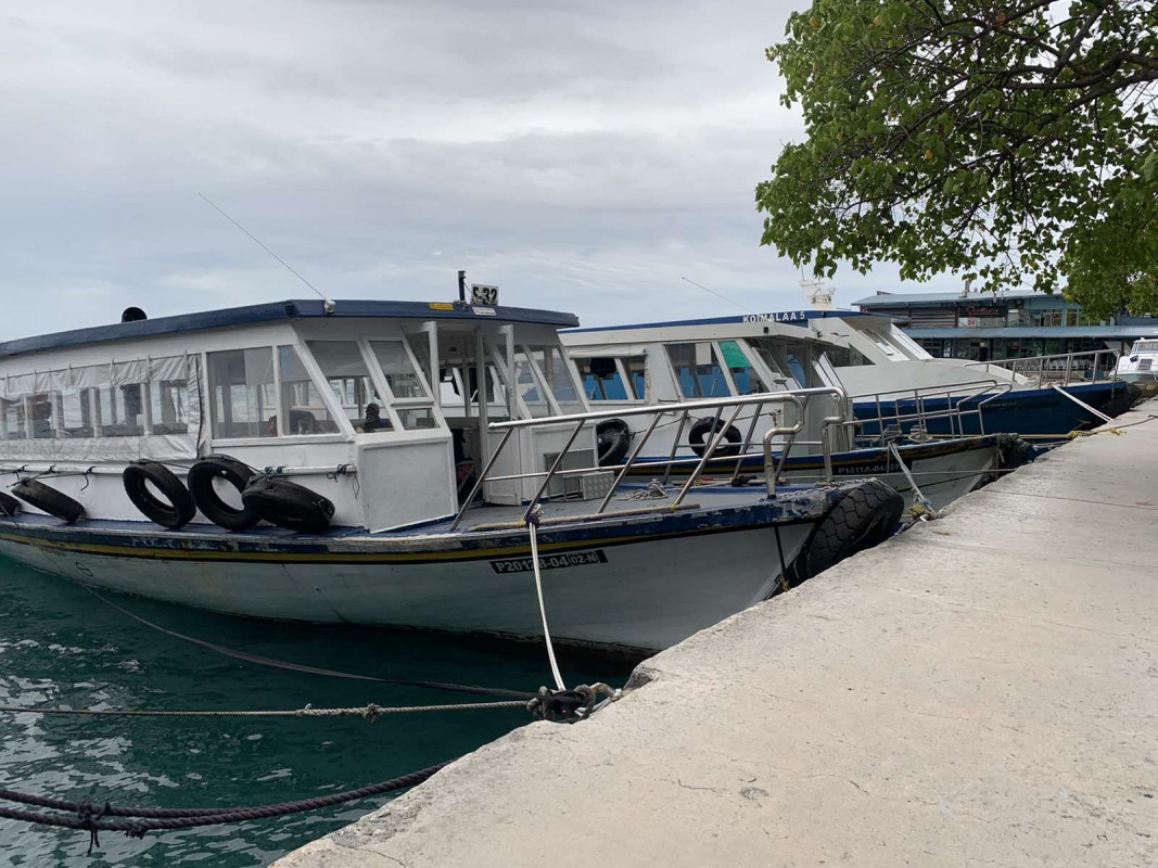 Boats docked at a harbor