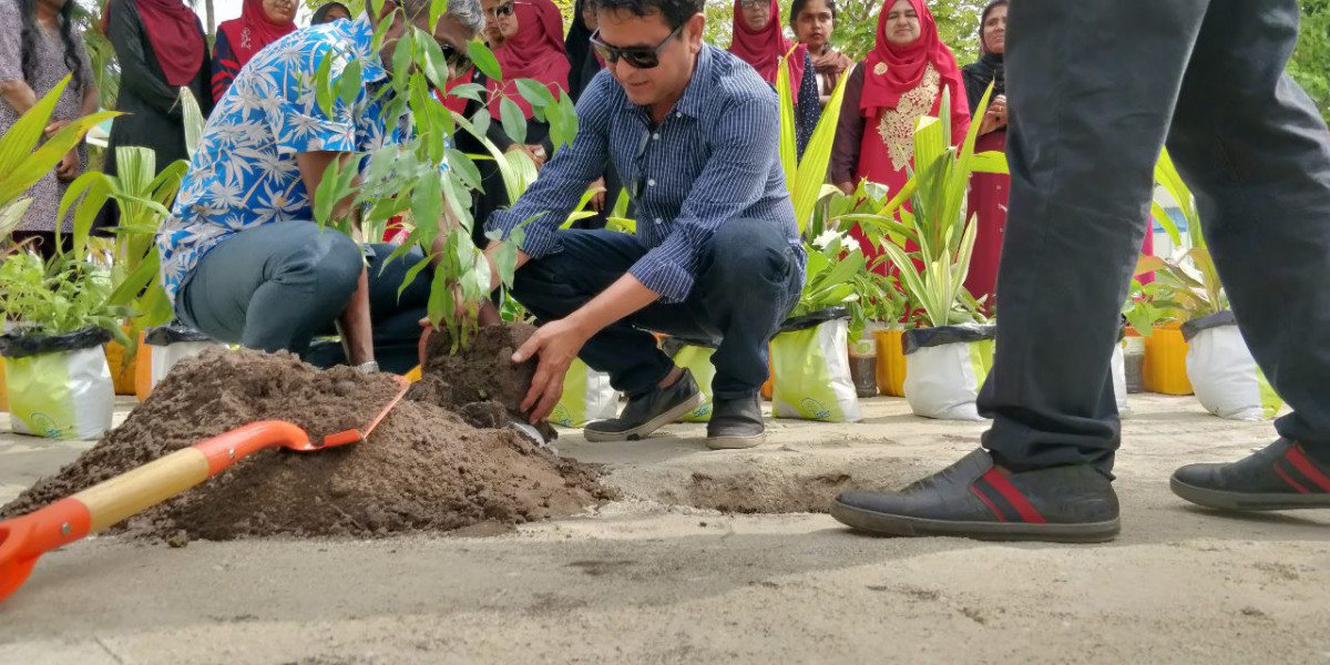 28 ޖުލައި 2019 --ހޯރަފުށި ދާއިރާގެ މެމްބަރު އަހުމަދު ސަލީމް ގަސް އިނަދަވަނީ-- ފޮޓޯ: ރާއްޖެ.އެމްވީ