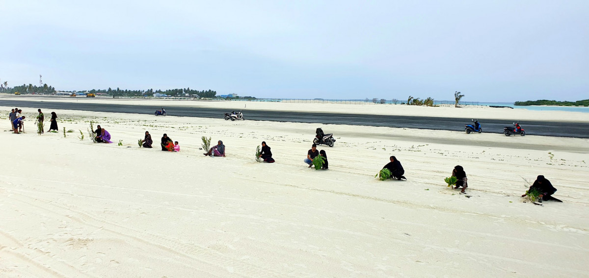 ހޯރަފުށި އެއަރޕޯޓް ފެހިކުރުމުގެ މަސައްކަތުގެ ތެރެއިން - އެއަރޕޯޓްގެ ރަންވޭގައި ތާރުއެޅުމަށް ބޭނުންވާ ތާރު ހޯރަފުށްޓަށް ވަނީ ގެންގޮސްފައި -- ފޮޓޯ: ހޯރަފުށި ކައުންސިލް