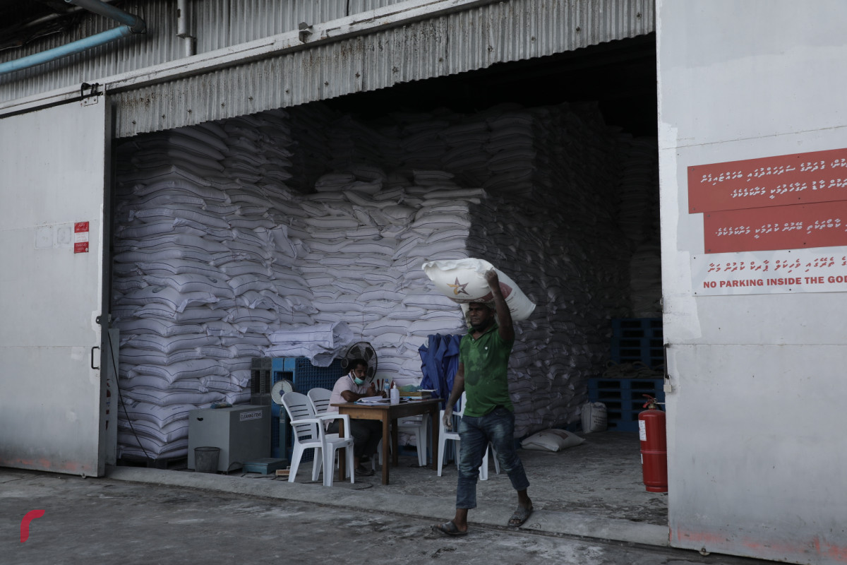 އެސްޓީއޯ ކާޑު ގުދަނުގައި މަސައްކަތްތެރިން ހަރަކާތްތެރިވަނީ - އަތޮޅުތެރޭގެ ކޮންމެ ރަށެއްގައި އެސްޓީއޯގެ އެޖެންޓުން މަސައްކަތްކުރޭ -- ފޮޓޯ: ރާއްޖެ.އެމްވީ