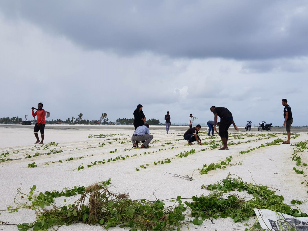 ހޯރަފުށީ އެއަރޕޯޓުގައި އެއް ލައްކަ ގަސް އިންދުމުގެ ޕްރޮގުރާމް ފަށާފައިވާއިރު، މި ޕްރޮގްރާމަކީ ހޯރަފުށި ދާއިރާގެ މެންބަރު އަޙްމަދު ސަލީމާއި އެރަށު ކައުންސިލްގެ އިސްނެންގެވުމުގެ މަތިން ކުރިއަށް ގެންދާ ހަރަކާތެއް، މިހަރަކާތަށް ރަށުގެ ރައްޔިތުންގެ ފަރާތުން ބޮޑު އެއްބާރުލުމެއް ލިބޭ -- ފޮޓޯ: ހޯރަފުށި ކައުންސިލް