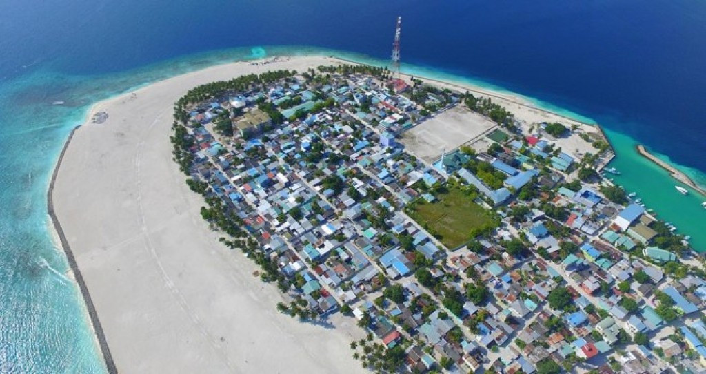 ބ. އޭދަފުށި - އަމާން ވެށިތަކުގައި ދިރިއުޅޭނީ ކަނޑައެޅޭ ވަކި އަދަދެއްގެ ކުދިން