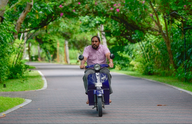 ޤާސިމް އިބްރާހީމް