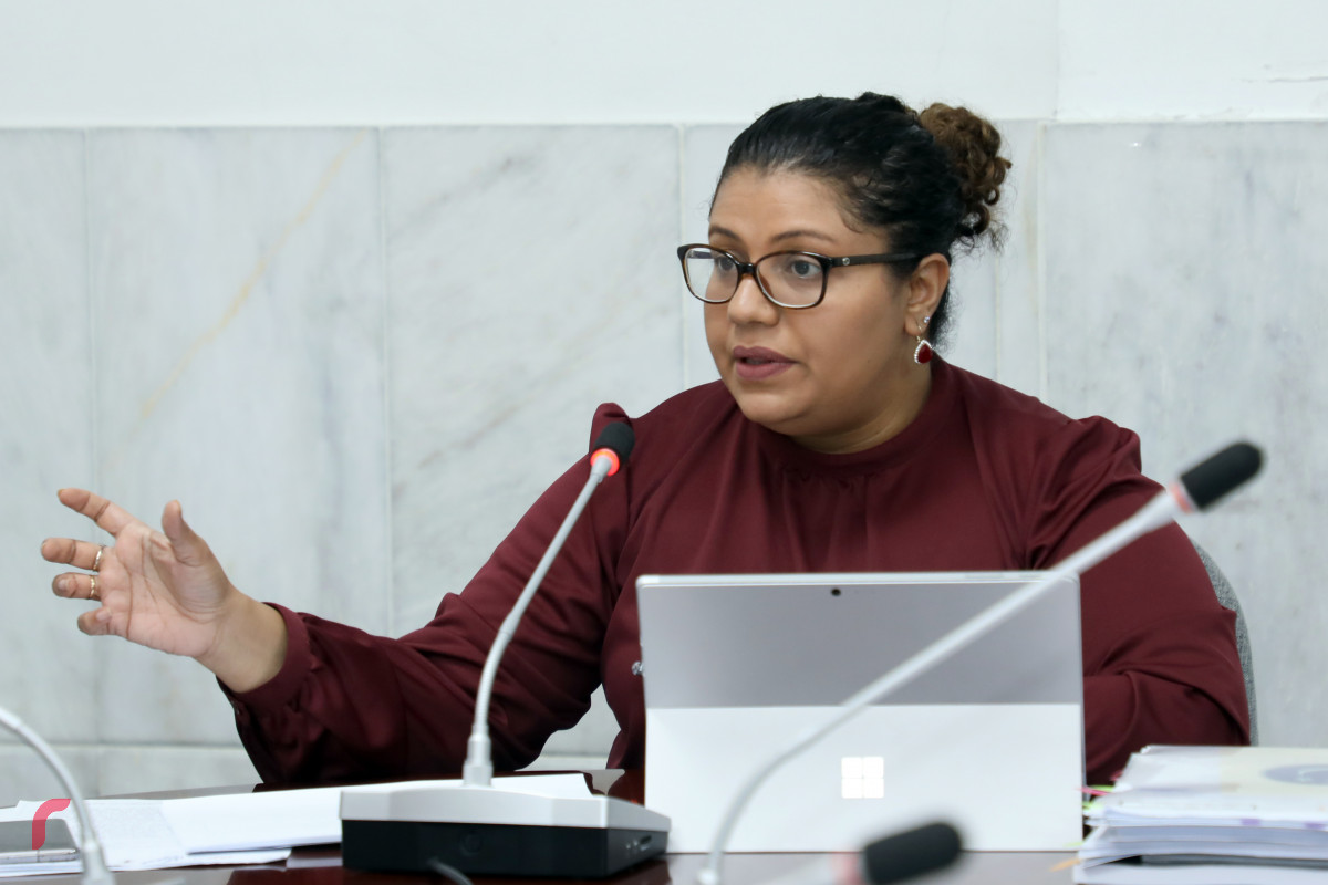 މަޖްލީސް ހިއުމަން ރައިޓްސް ކޮމެޓީގެ ބައްދަލުވުން -- ފޮޓޯ: ޔޫސުފް ސޮފްވާން