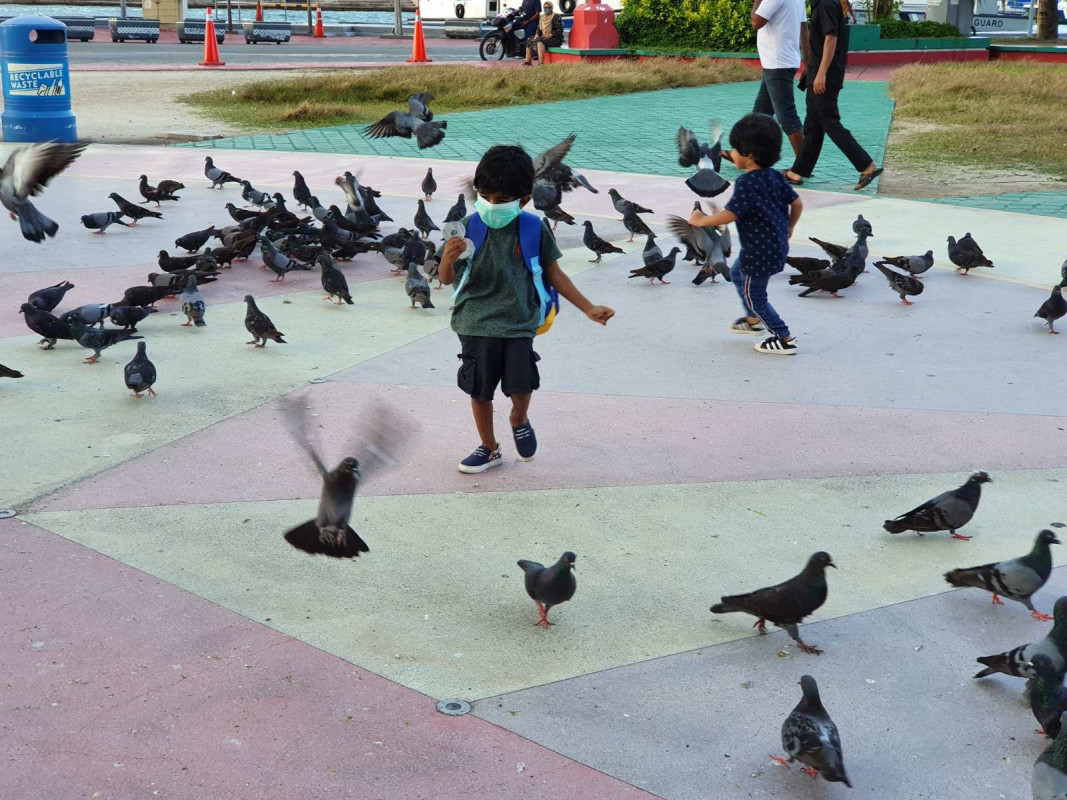 ޖުމްހޫރީ މައިދާނުގައި ކުޑަކުދިންތަކެއް ދުވަނީ - ކޮތަރުތަކުގެ ފަހަތުން ދުވުމާއި ކޮތަރުތަކަށް ކާންދިނުން މިއީ ކުޑަކުދިން ވަރަށް ގަޔާވެގެން ކުރާ ކަމެއް - ފޮޓޯ: ރާއްޖެއެމްވީ