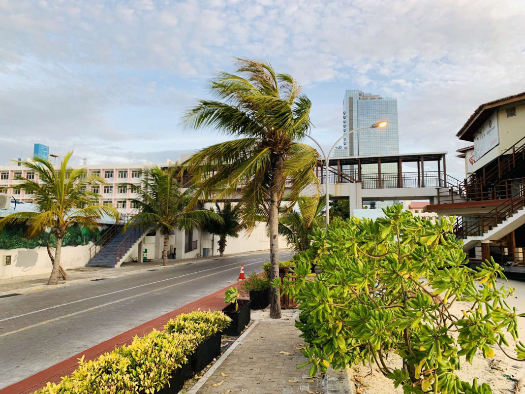 ރަސްފަންނު ސަރަހައްދު - މާލޭގެ މި ސަރަހައްދަކީ ގިނަ އަދަދަކަށް މީހުން ޖަމާވާ ސަރަހައްދެއް. އާއިލާ އާޢި އެކު ވަގުތު ހޭދަކުރުމަށާއި، އެކި އެކި ހަރަކާތްތައް ބާއްވަމުން އަންނަ ސަރަހައްދަކަށްވާއިރު، މި ފަހަރުގެ ޢީދުގައި މި ސަރަހައްދު ފެންނަނީ ހަމަހިމޭންކޮށް  -  ފޮޓޯ: ރާއްޖެއެމްވީ