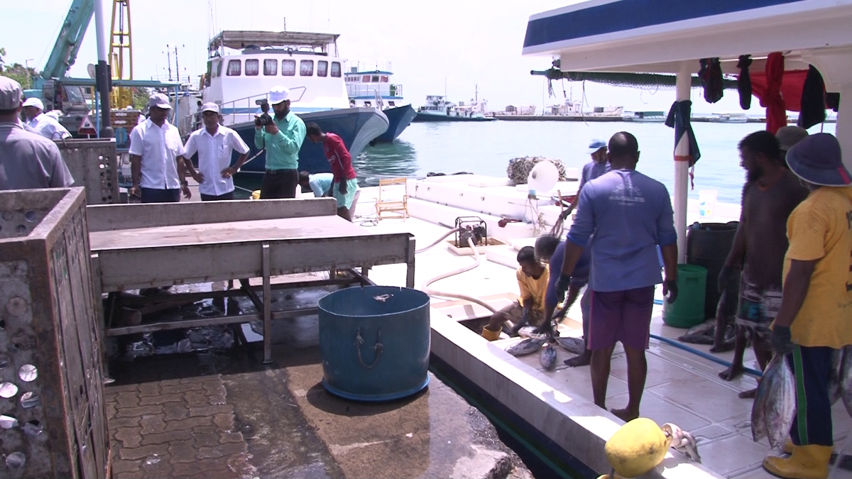 މިފްކޯގެ މުވައްޒަފުންނާއި މަސްވެރިން ކޫއްޑޫ ބަނދަރުގައި