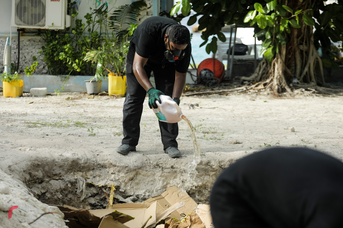 26 ޖޫން 2019: ފުލުހުންގެ ބެލުމުގެ ދަށުގައި ހުރި 416.9 ކިލޯގެ މަސްތުވާތަކެތި ނައްތާލުން. -- ފޮޓޯ: ޝުއައިބް މުހައްމަދު