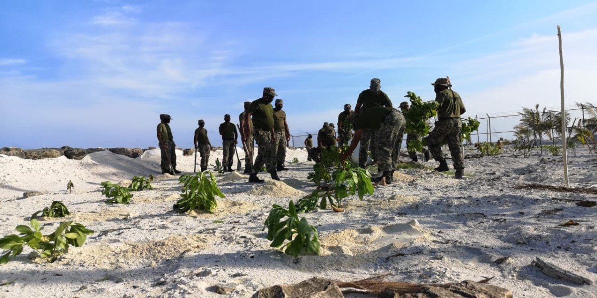 ހޯރަފުށީ އެއަރޕޯޓްގައި ގަސް އިންދުމަށް ރައްޔިތުން ހިންގާ ޕްރޮގްރާމުގައި އެމްއެންޑީއެފުން ބައިވެރިވުން -  އެއަރޕޯޓުގައި ގަސްއިންދުމަށް ބައިވެރިވެލެއްވި އެމްއެންޑީއެފްގެ ބޭކަލުންނަށް ހޯރަފުށި ދާއިރާގެ މެންބަރު ވަނީ ޝުކުރު އަދާކުރައްވާފައި - ފޮޓޯ: ހޯރަފުށި ކައުންސިލް