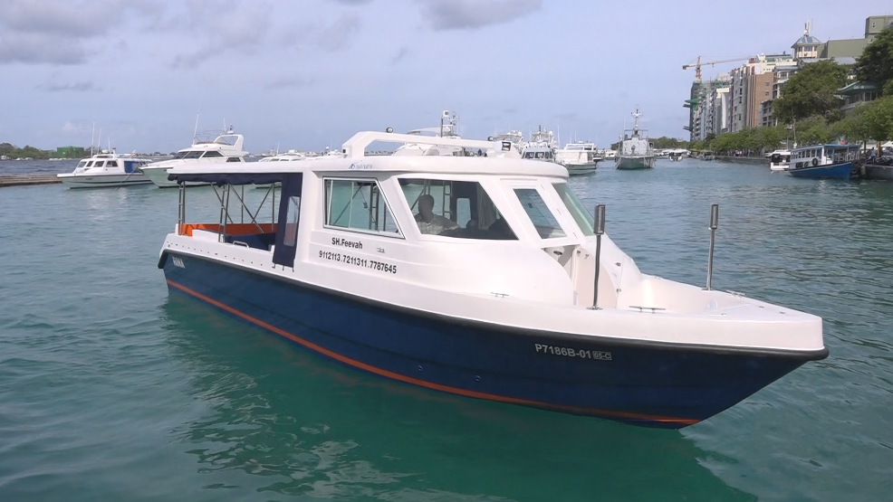 އަލްޝާލީމެރިންގެ ކޯސްޓް ކްރާފްޓް 38 ޕްލަސް