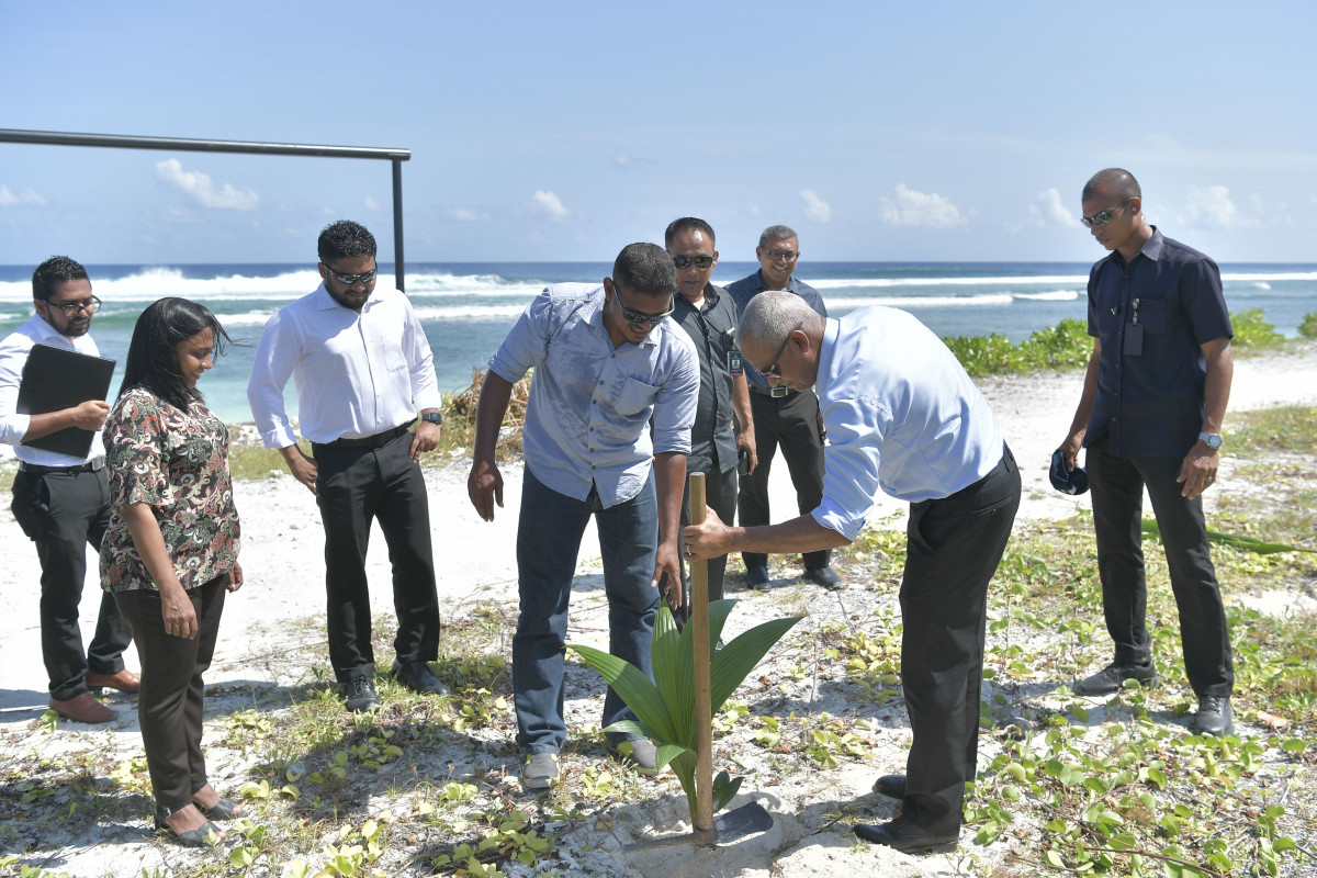 13 ޖުލައި 2019 --ރައީސް ތިނަދޫ ރައްޔިތުން ކުރިޔަށްގެންދާ ގަސްއިންދުމުގެ ޕްރޮގްރާމްގައި ބައިވެރިވެ ގަސްއިންދަވަނީ-- ފޮޓޯ: ރައީސް އޮފީސް