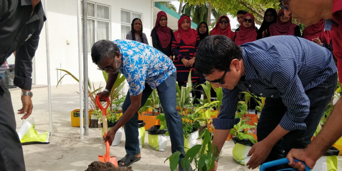 28 ޖުލައި 2019 --ހޯރަފުށީގައި އެއާރޕޯޓް އެޅުމަށް ބިން ހިއްކާ ސަރަހައްދު ފެހިކުރުމަށް އެ ރަށުގެ މުއައްސަސާތަކުން އިސްނަގައިގެން ގަސް ހަދިޔާ ކުރުމުގެ ޕްރޮގްރާމްގެ ތެރެއިން އެ ރަށު ސިއްހީ މަރުކަޒުން 500 ގަސް ހަދިޔާކުރުން--  ފޮޓޯ: ރާއްޖެ.އެމްވ