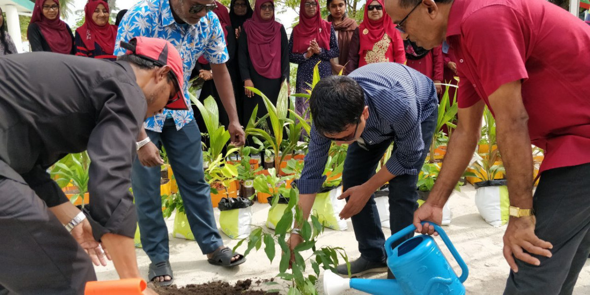 28 ޖުލައި 2019 --ހޯރަފުށި ދާއިރާގެ މެމްބަރު އަހުމަދު ސަލީމް ގަސް އިނަދަވަނީ-- ފޮޓޯ: ރާއްޖެ.އެމް