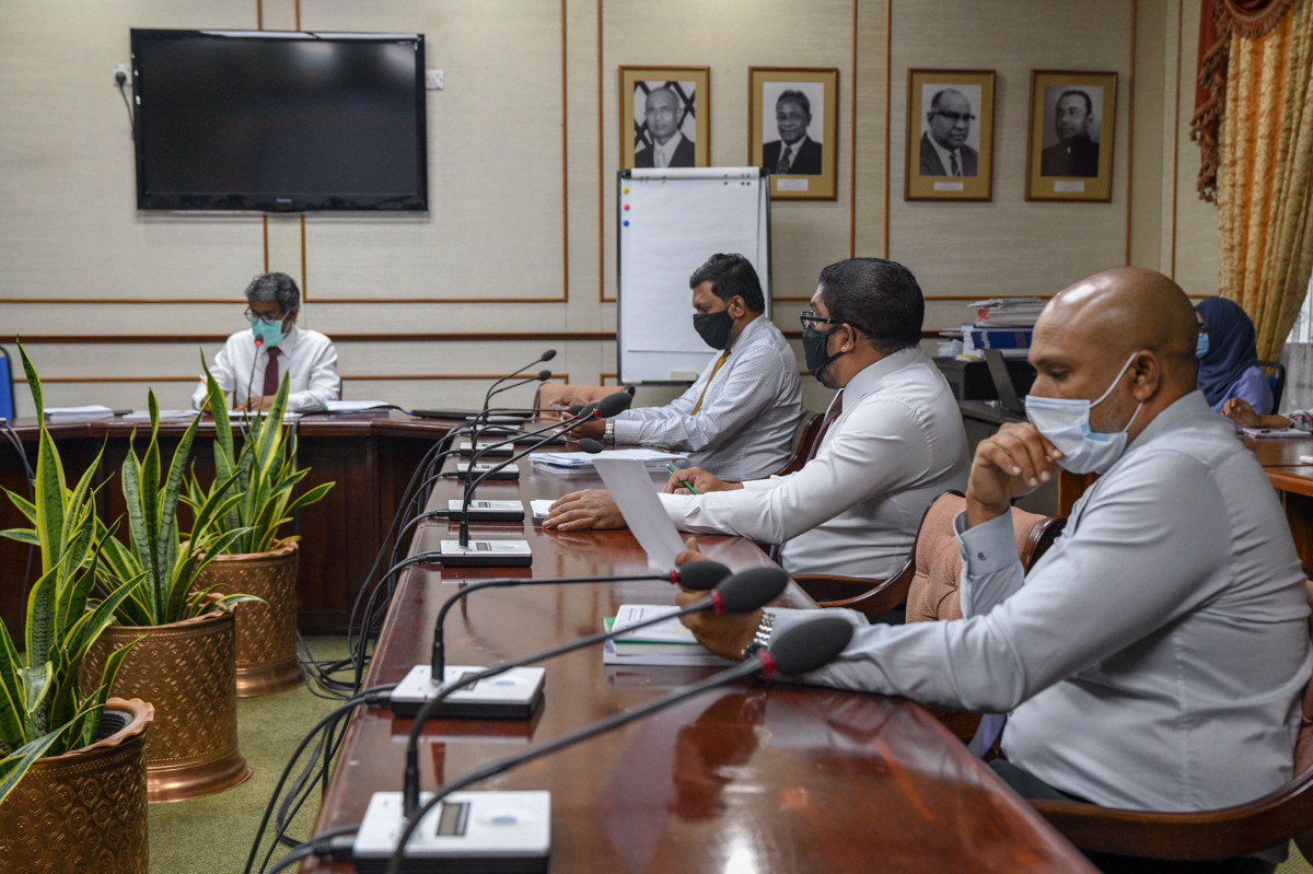 The Human Rights and Gender Committee