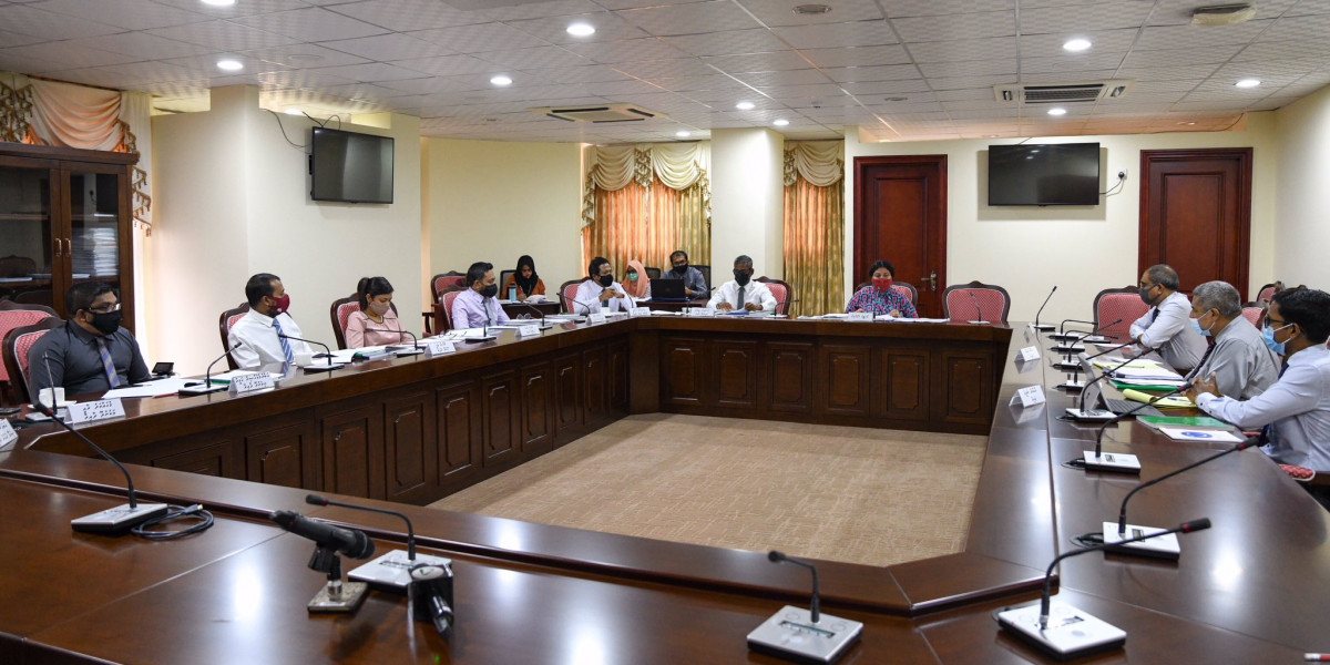 މަޖިލީހުގެ ހިއުމަން ރައިޓްސް އެންޑް ޖެންޑަރ ކޮމިޓީން އާދިއްތަ ދުވަހު ބޭއްވި ބައްދަލުވުން