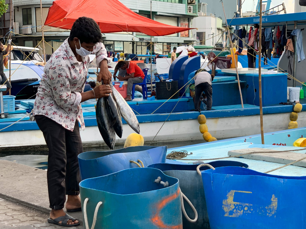 ބާޒާރުމަތިން މީހަކު މަސް ގަންނަނީ