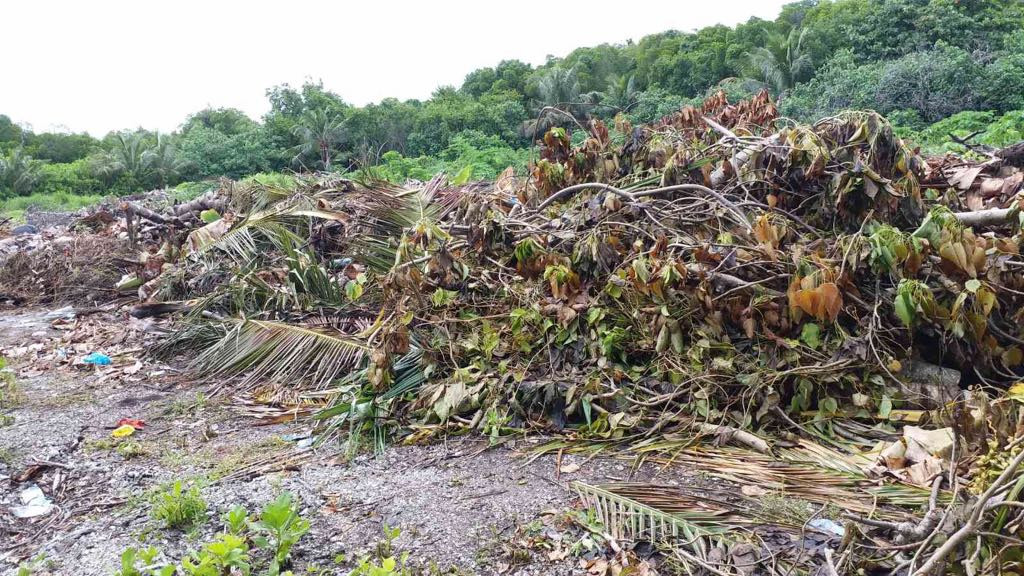 މި ފަންޑު ބޭނުންކުރެވެނީ އުމްރާނީ އެކި މަޝްރޫއުތަކަށް