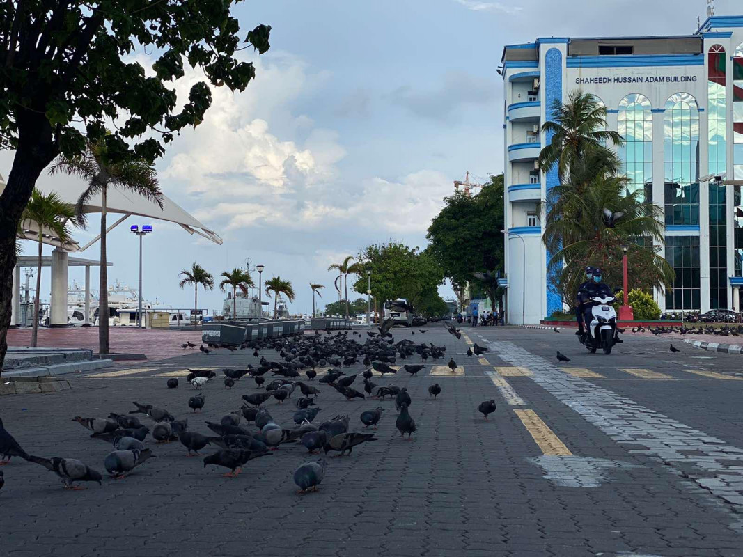 މާލެއިން ދިވެއްސަކު ޕޮޒިޓިވްވުމާ ގުޅިގެން މާލެ ސަރަޙައްދު ވަނީ ލޮކްޑައުންކޮށްފައި