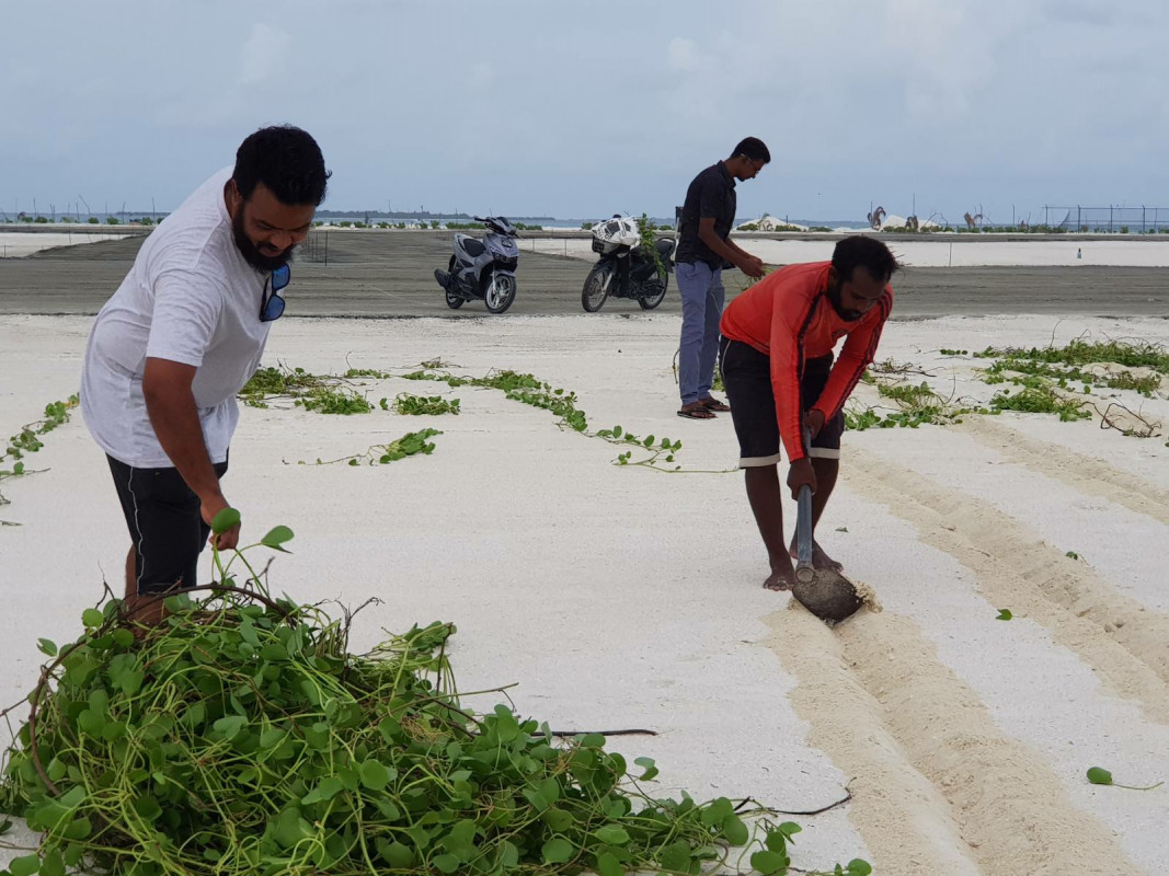 ހޯރަފުށި އެއަރޕޯޓް ފެހިކުރުމުގެ މަސައްކަތުގެ ތެރެއިން - ގަސް އިންދުމުގެ ހަރަކާތުގައި އެކި ކުންފުނިތަކާއި ރަށުގެ މުއައްސަސާތަކުގެ ބޮޑު އެއްބާރުލުމެއް ލިބިފައިވާއިރު، އެރަށުގެ ރައްޔިތުން ދަނީ ފޯރިއާއި އެކު މިކަމުގައި ބައިވެރިވަމުން -- ފޮޓޯ: ހޯރަފުށި ކައުންސިލް