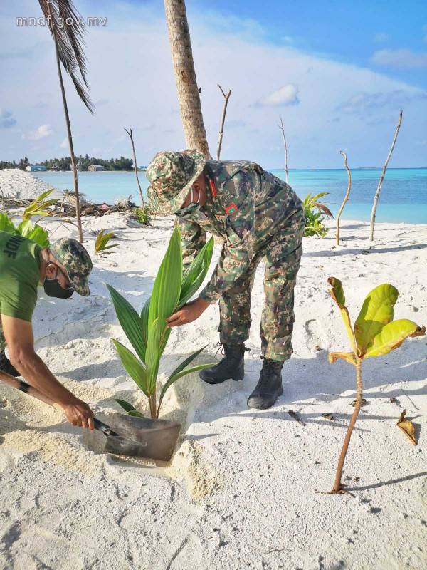 ހޯރަފުށީ އެއަރޕޯޓްގައި ގަސް އިންދުމަށް ރައްޔިތުން ހިންގާ ޕްރޮގްރާމުގައި އެމްއެންޑީއެފުން ބައިވެރިވުން -  ފޮޓޯ: އެމްއެންޑީއެފް