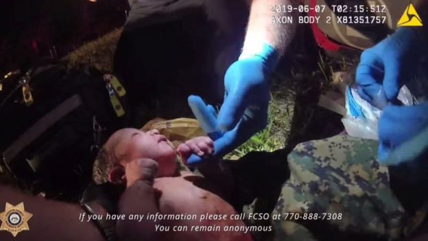 ގަސްބޯ ހިސާބަކުން ކުއްޖާ ނަގަނީ