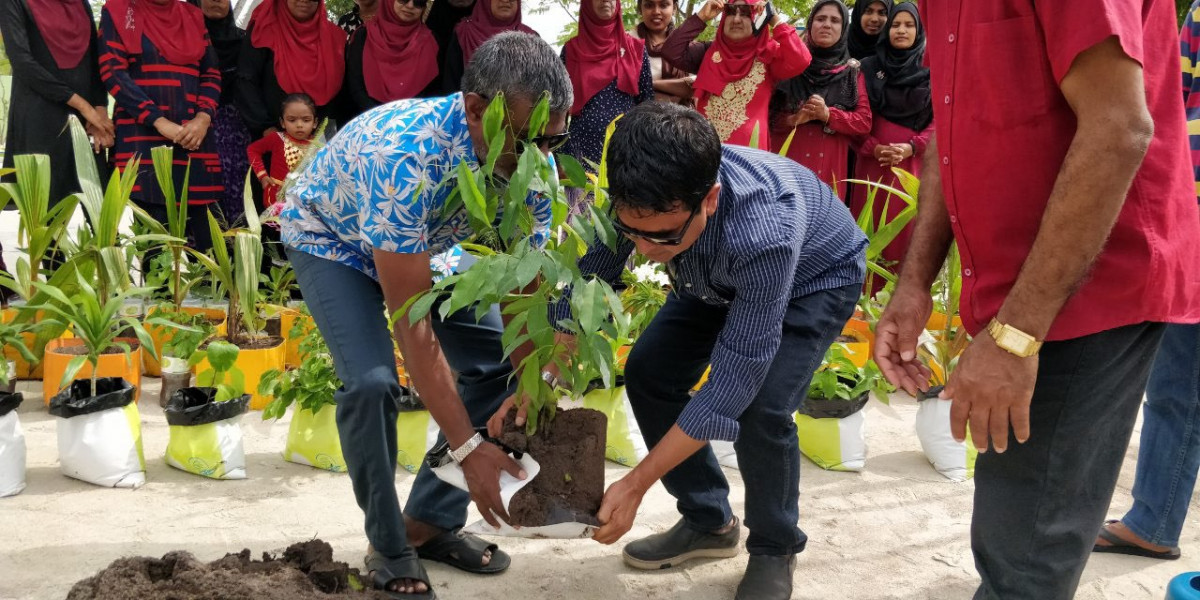 28 ޖުލައި 2019 --ހޯރަފުށި ދާއިރާގެ މެމްބަރު އަހުމަދު ސަލީމް ގަސް އިނަދަވަނީ-- ފޮޓޯ: ރާއްޖެ.އެމް