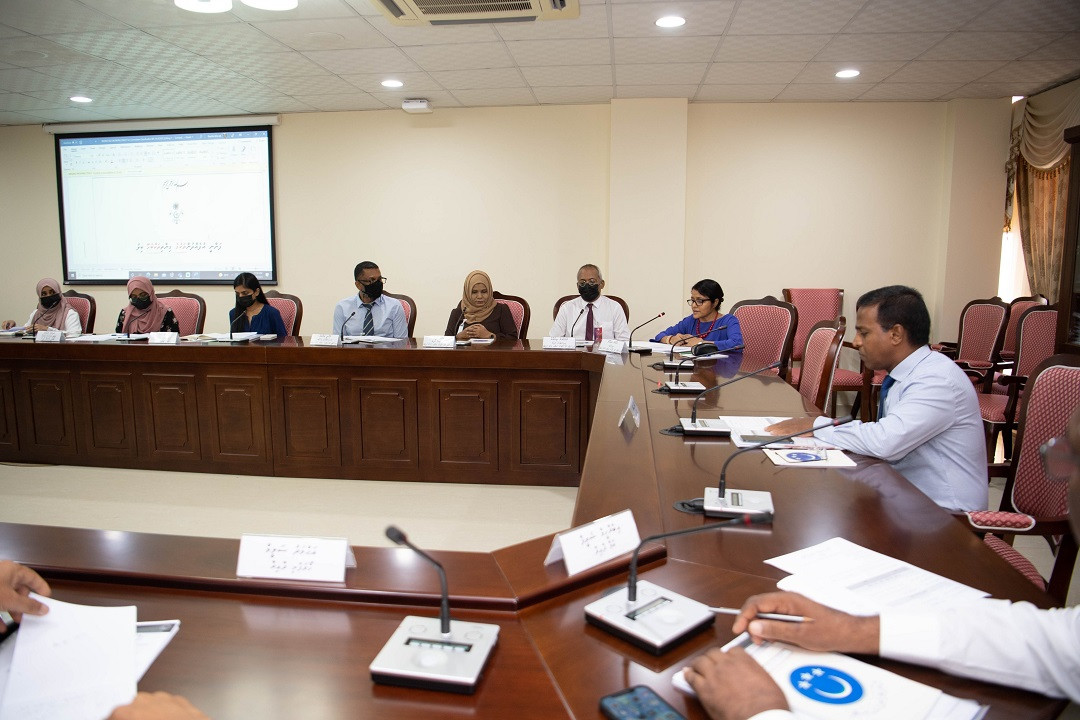 ރައްޔިތުންގެ މަޖިލީހުގެ ޤައުމީ ތަރައްޤީއާއި ތަރިކައިގެ ކޮމިޓީއިން، މިނިސްޓްރީ އޮފް އާޓްސް، ކަލްޗަރ އެންޑް ހެރިޓޭޖް އަދި އެޓާރނީ ޖެނެރަލްގެ އޮފީހުގެ ބޭފުޅުންނާއި ބައްދަލުކުރެއްވުން