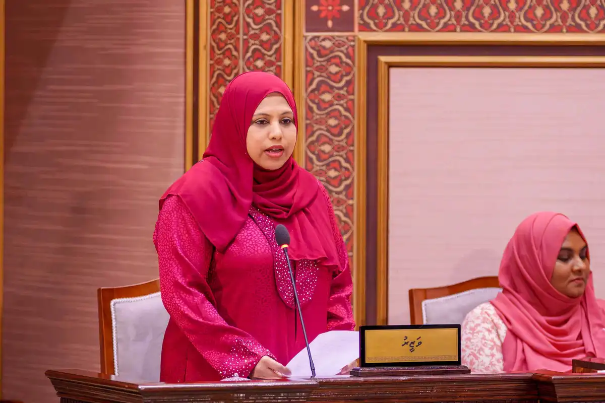 މިނިސްޓަރ އޮފް އާޓްސް، ކަލްޗަރ އެންޑް ހެރިޓޭޖް ހީނާ ވަލީދު މަޖިލީހަށް ހާޒިރުކުރުން
