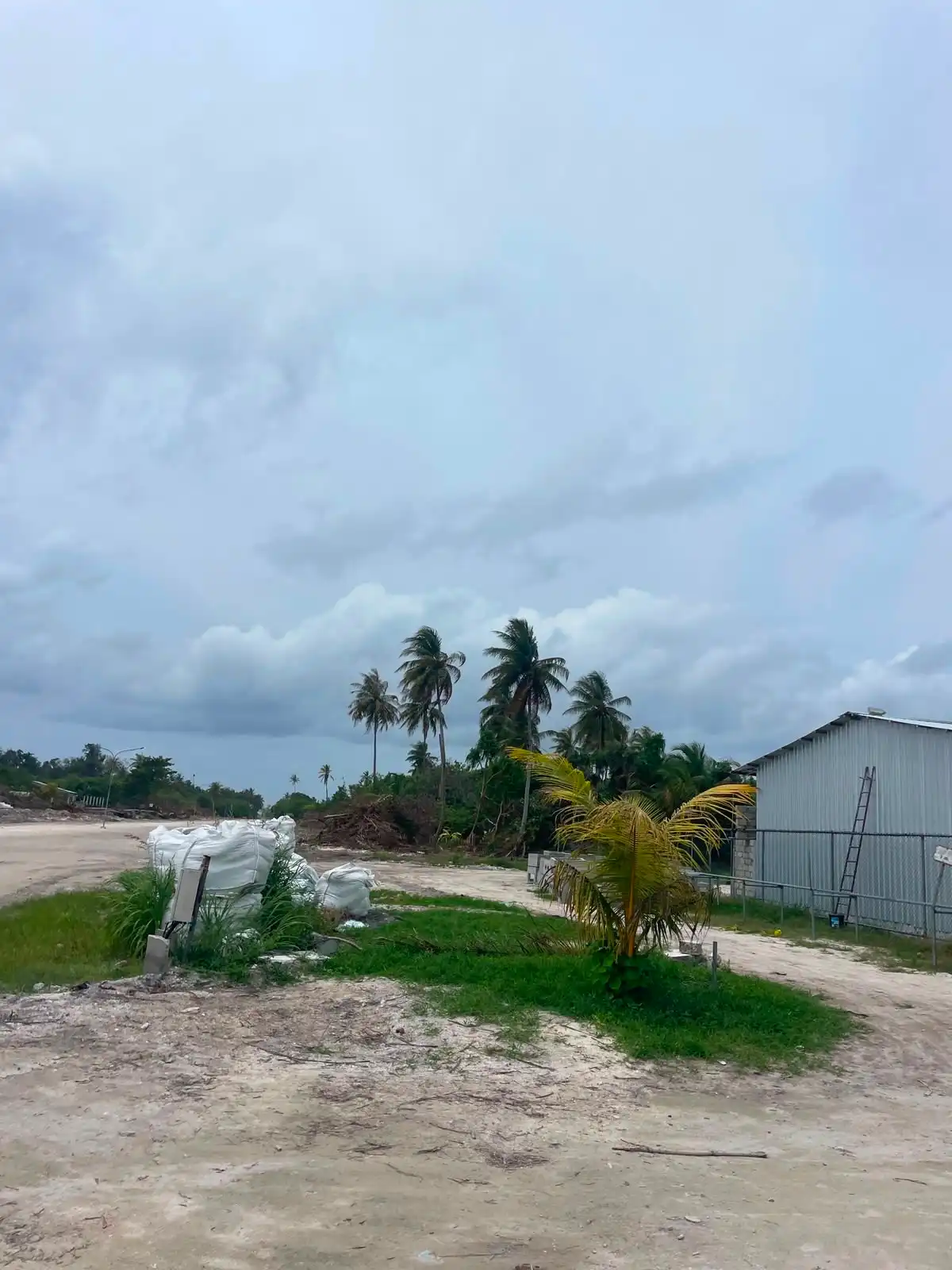 ލ.އިސްދޫގައި މަގު ހެދުމުގެ މަޝްރޫއުގެ ދަށުން ގިނަ އަދަދެއްގެ ރުއްގަސް ނަގާފައި