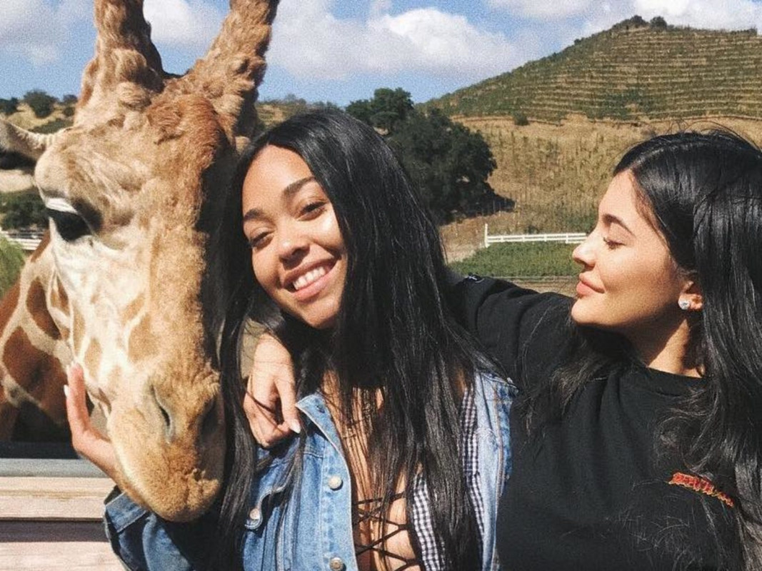 ކައިލީ ޖެނަރ އާއި ޖޯޑިން ވުޑްސް