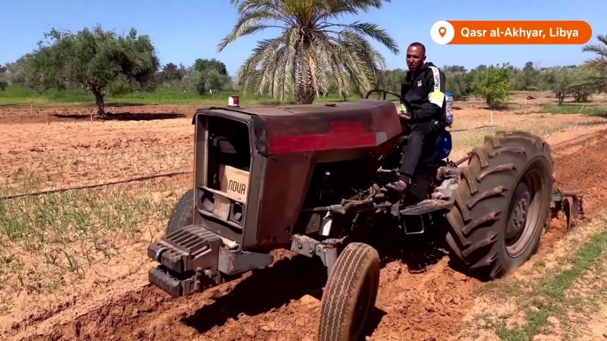 ސަރުކާރު ވަޒީފާ ދޫކޮށް ދަނޑުވެރިކަމަށް ނުކުތް ލީބިޔާގެ ޒުވާނާ އަލް-ތާމީ